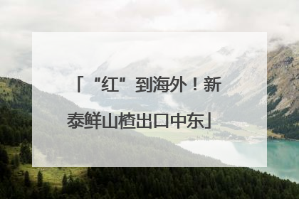 “红”到海外！新泰鲜山楂出口中东
